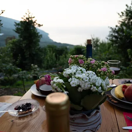 Aristoteli's Stone House Makrirrákhi